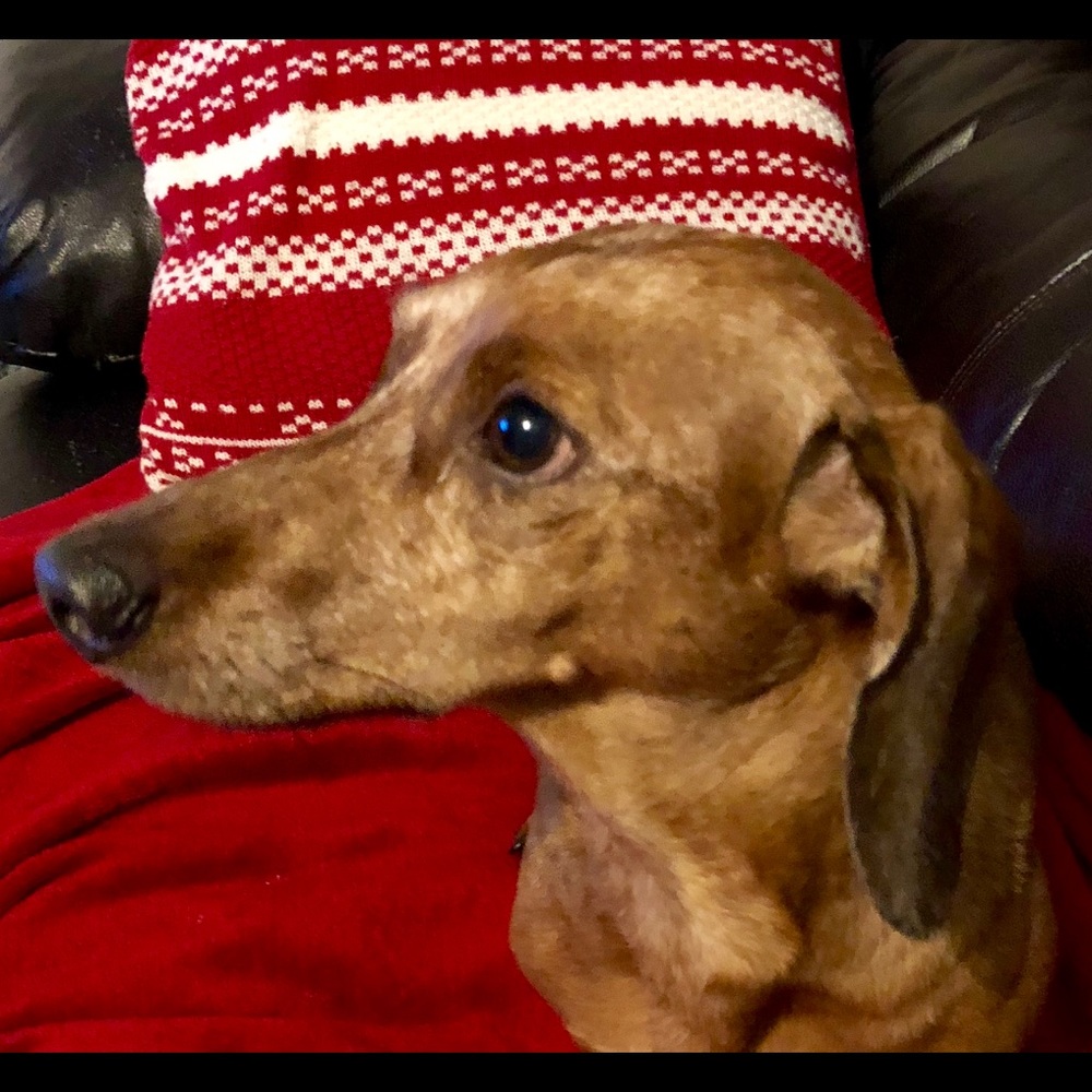 Meet your Posher, Christine